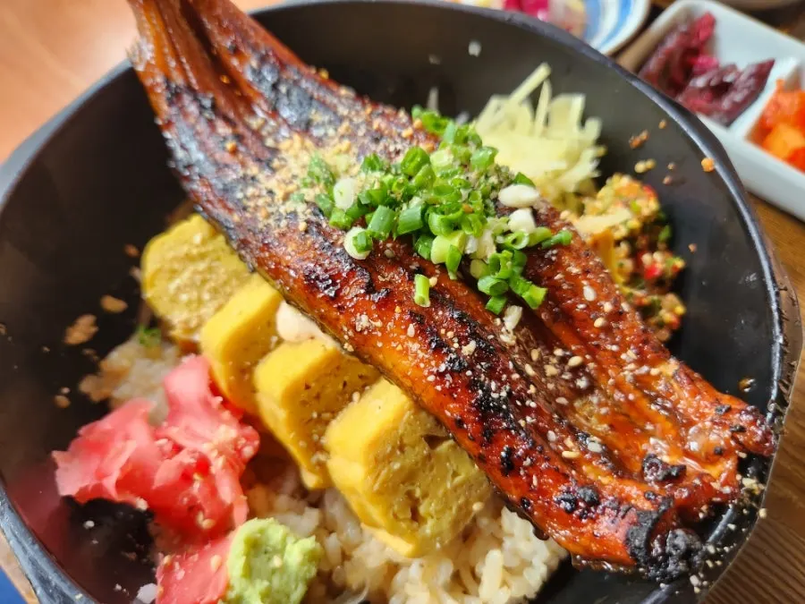 Egg-and-eel rice bowl with a long piece of eel