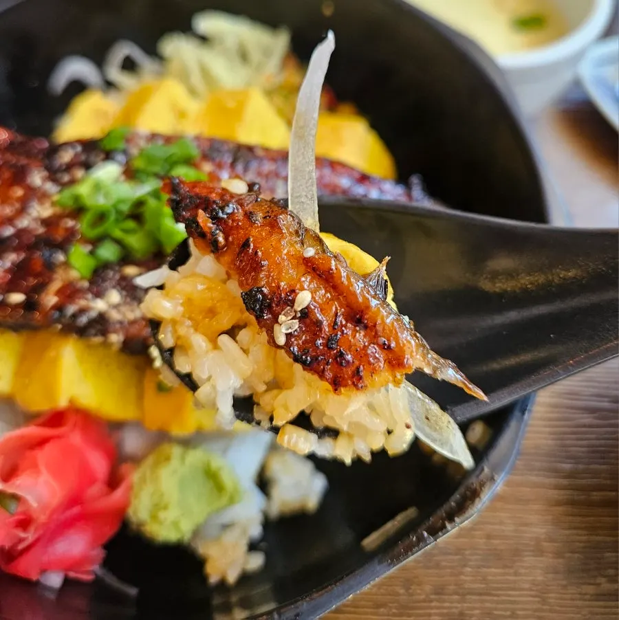 Eel rice bowl topped with egg and eel