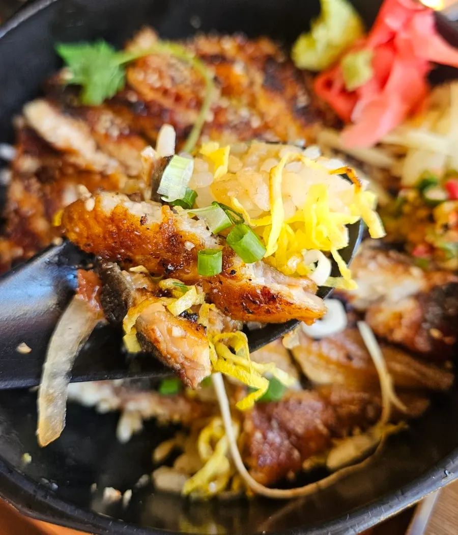 Special eel rice bowl generously topped with eel