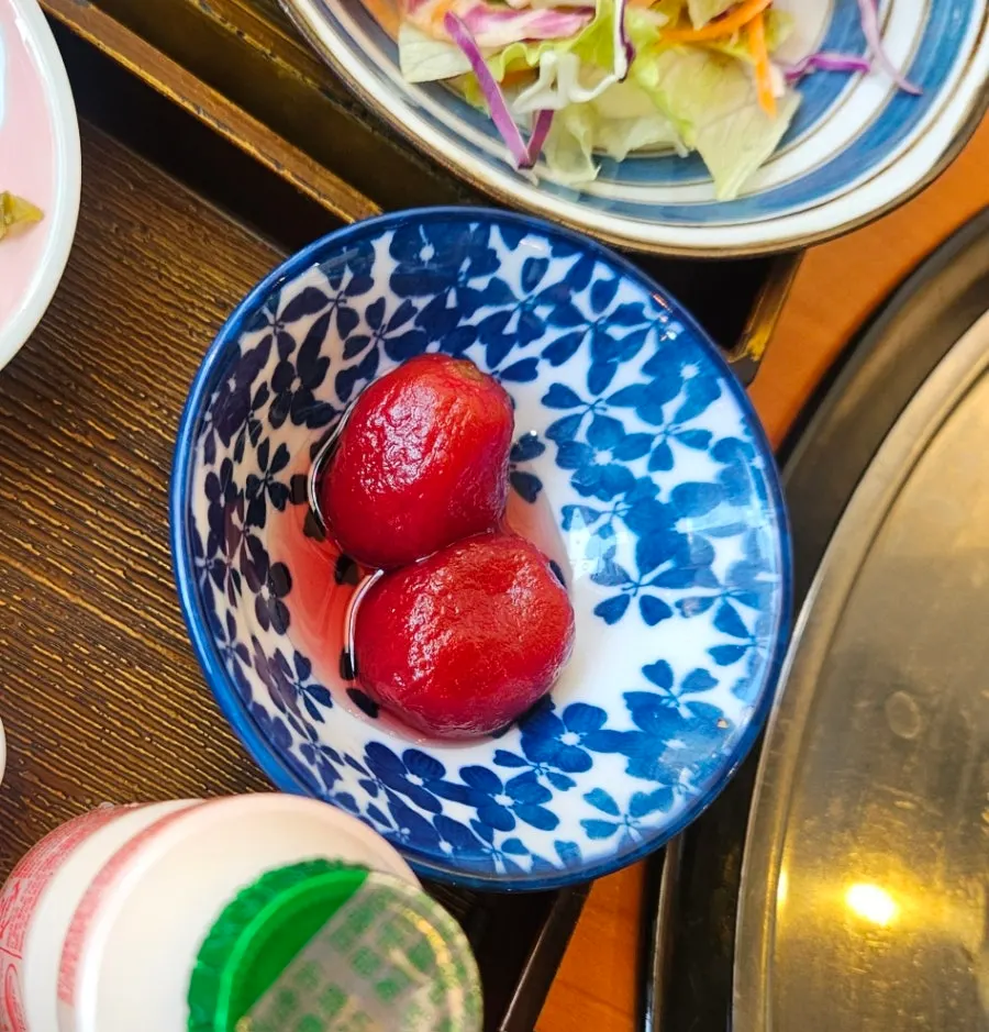 A bowl of ochazuke topped with eel