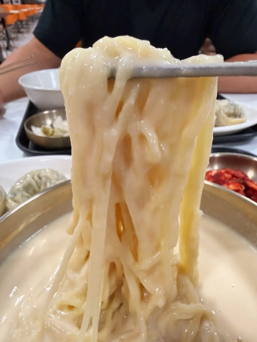 Noodles lifted up, coated in the thick soy milk broth