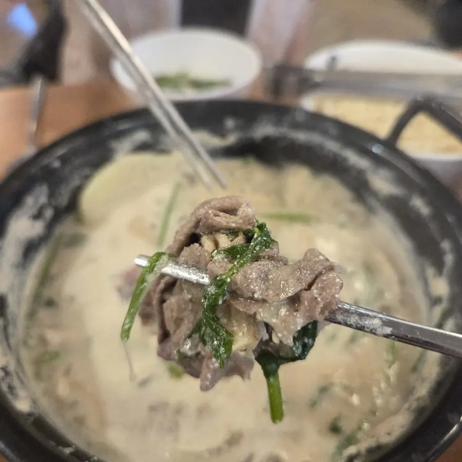 들깨 육수에 넣기 전 생면 칼국수