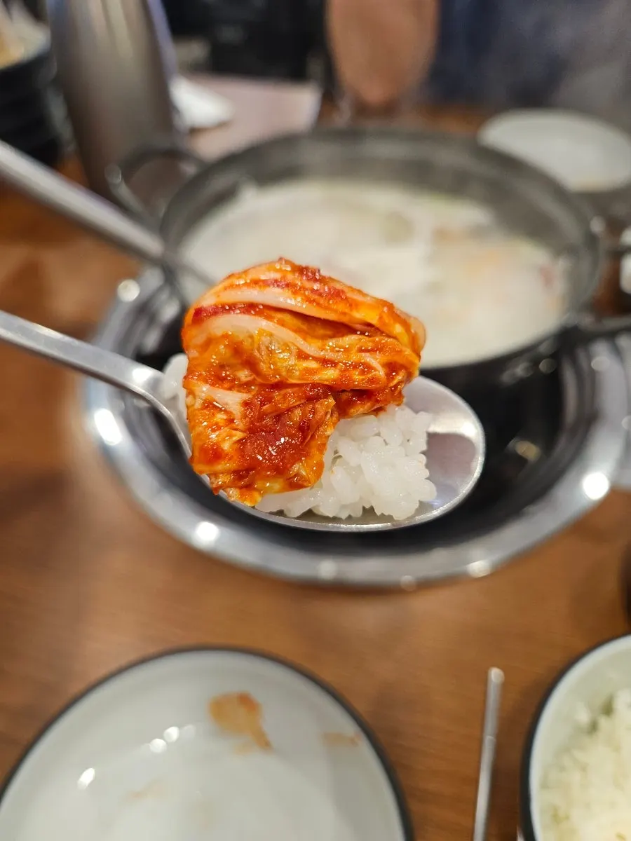 흰 쌀밥 위에 올린 김치 한 젓가락