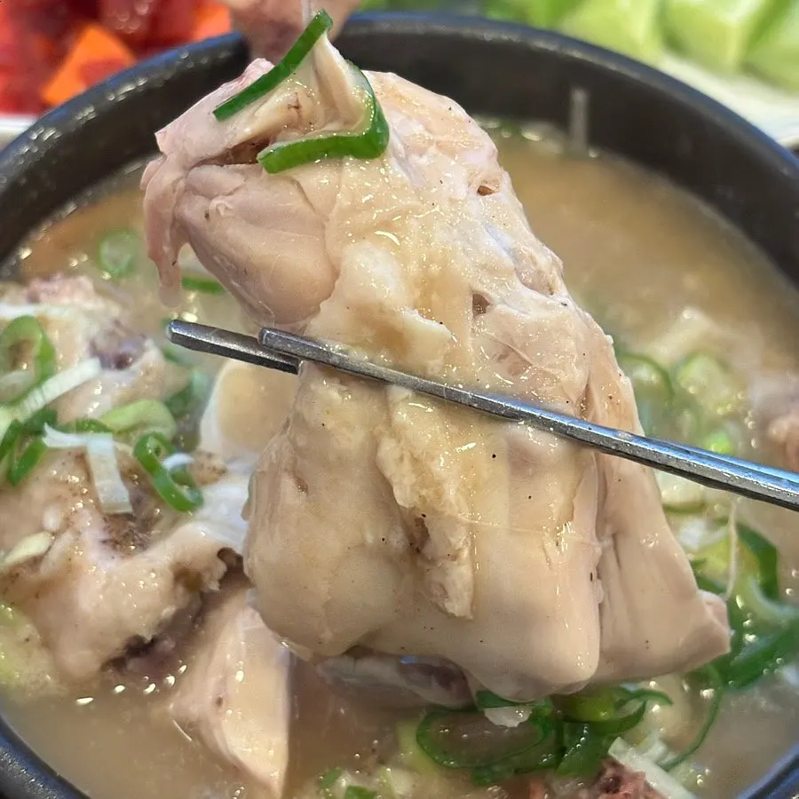 한방녹두삼계탕 국물과 한방 재료