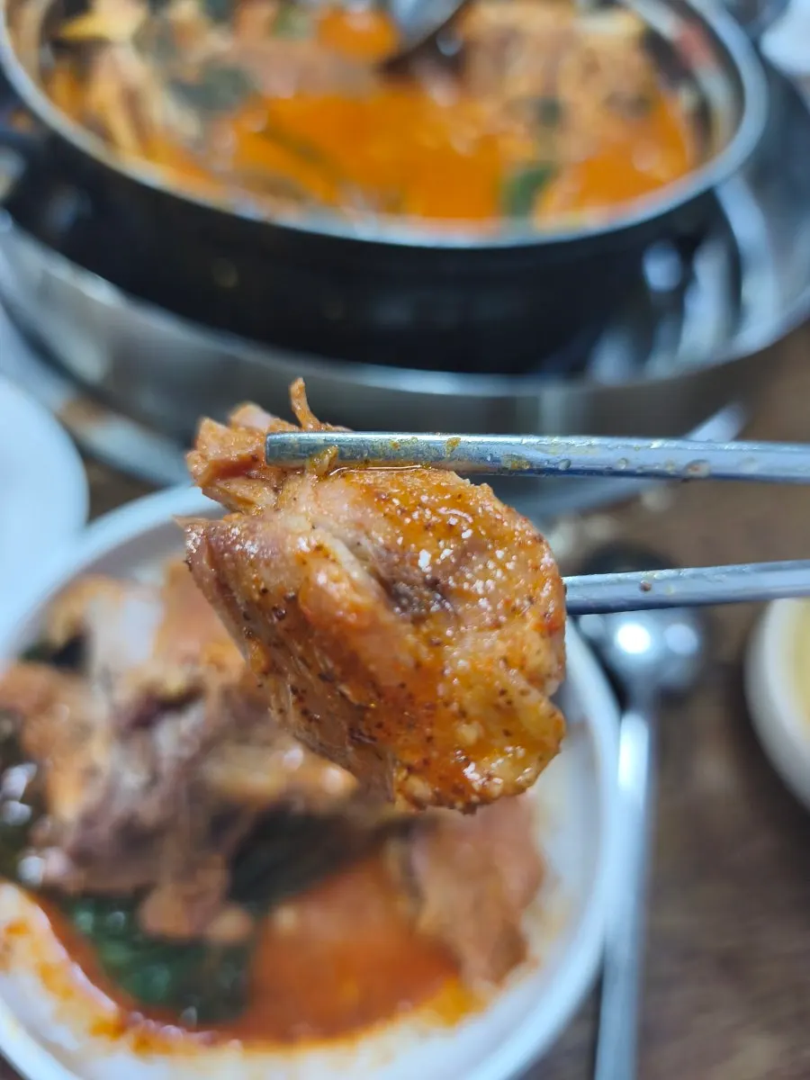 Picked-apart meat with sauce