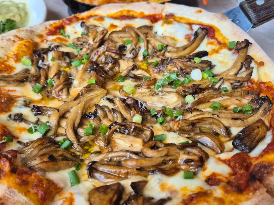 Truffle mushroom pizza with mushroom toppings