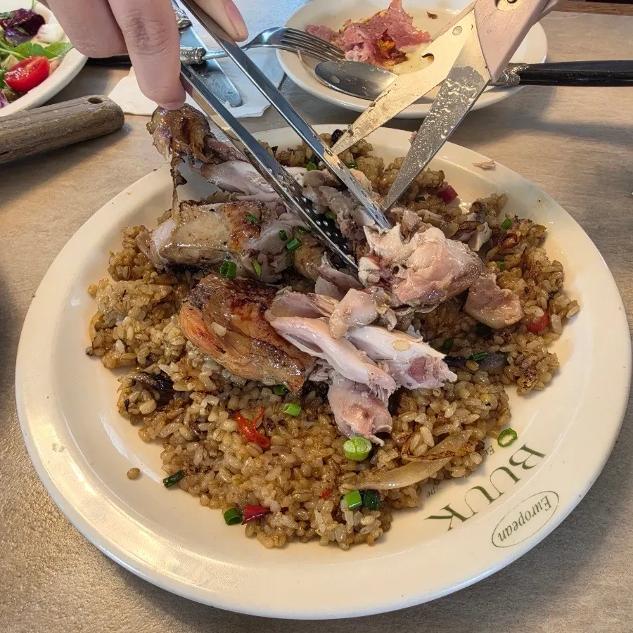 Chicken leg on top of pilaf