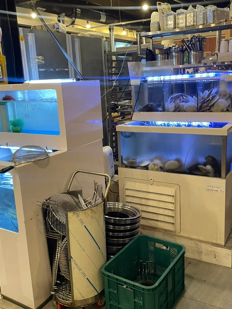 Seafood tank inside the restaurant