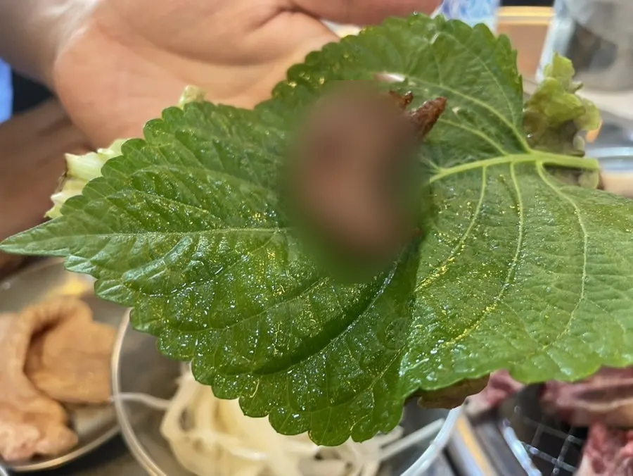 연탄불에 노릇하게 익은 소고기