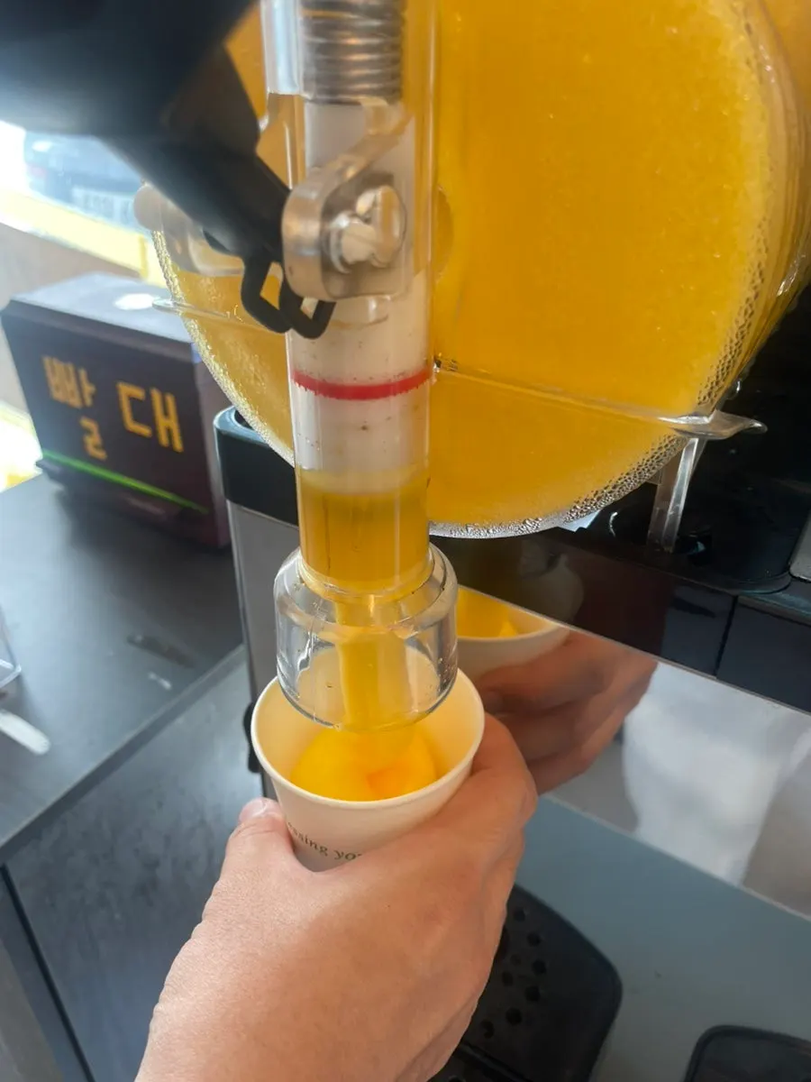 비운 접시들로 마무리한 식사