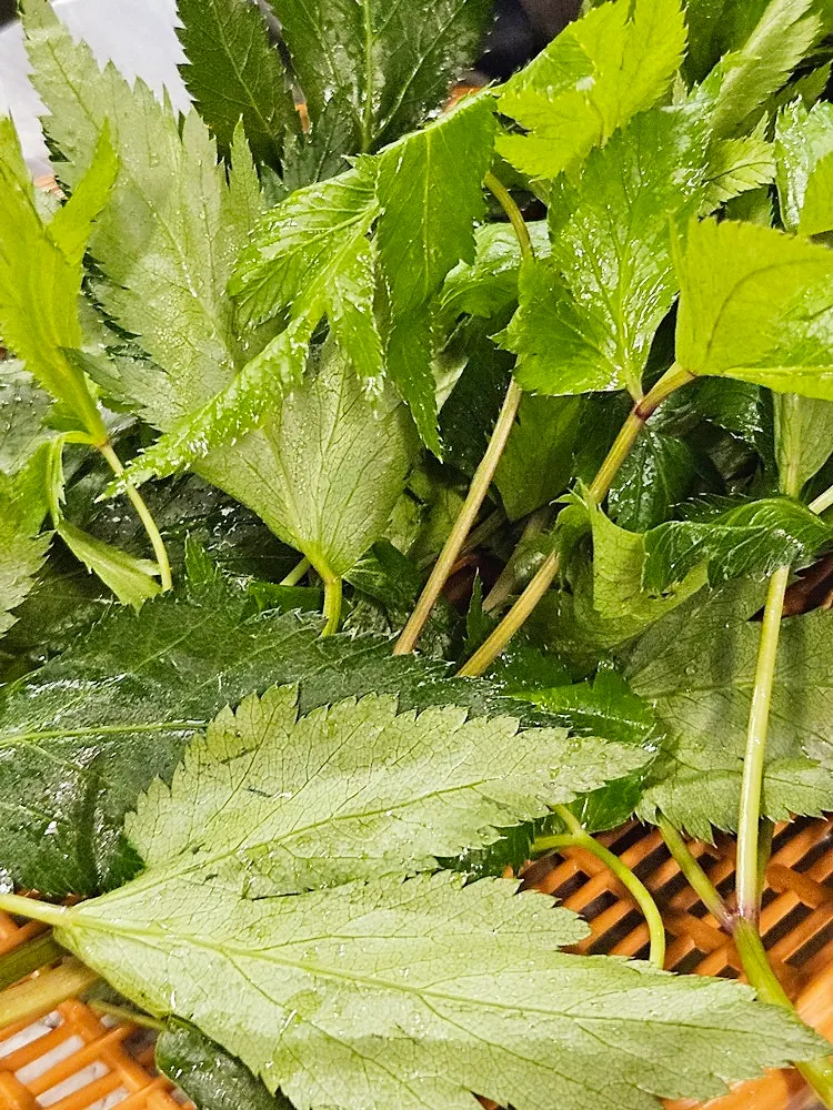 鮮度保管用の冷蔵庫に入った包み野菜