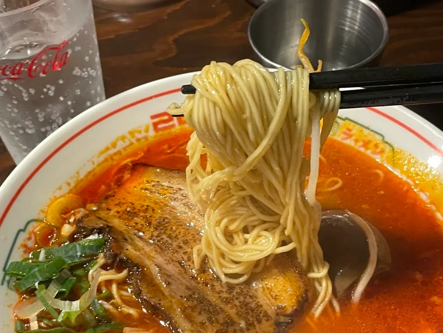 Springy house-made noodle texture