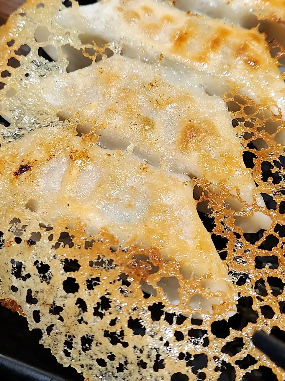 Crispy fried yaki gyoza