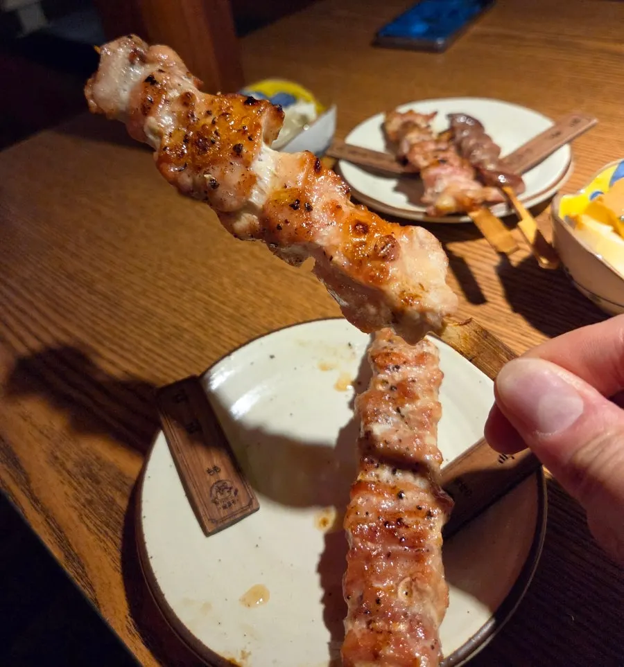 Charcoal-grilled yakitori cooked just right