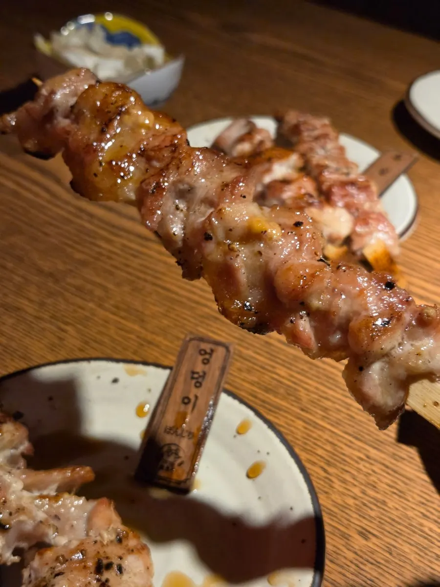 Meat skewer with moist juices