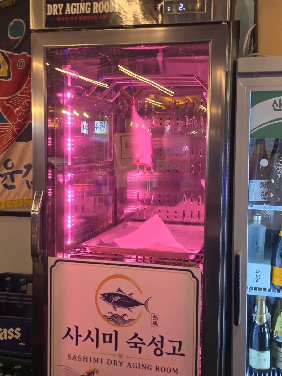 생선이 걸려 있는 산호초 논현점 사시미 숙성고