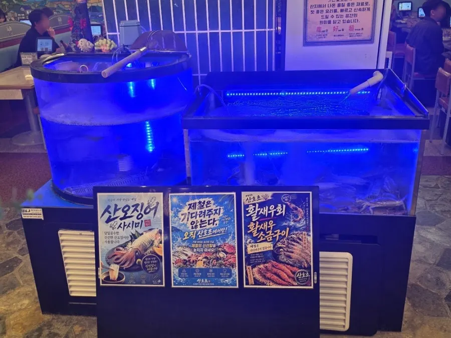 눈에 보이는 자리에 진열된 각종 해산물
