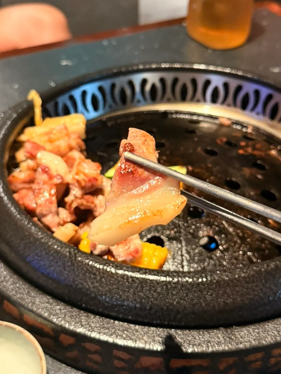 A piece of meat with scallion-soy sauce