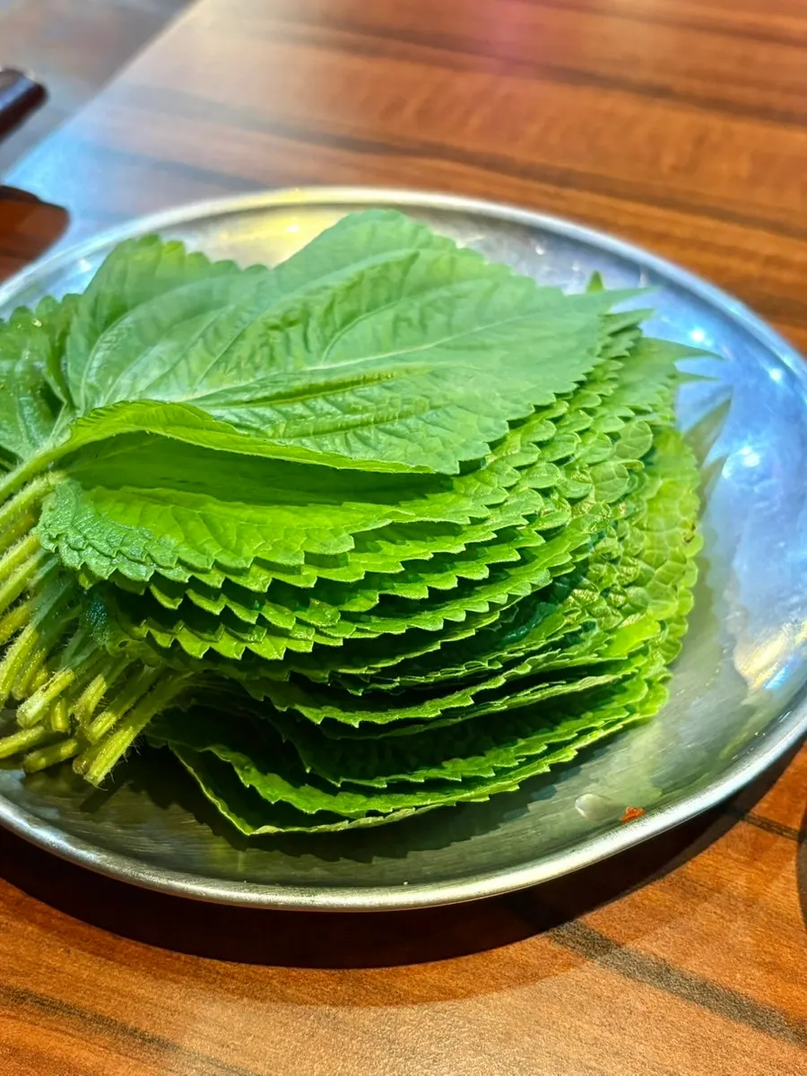 A generous pile of perilla leaves for wraps