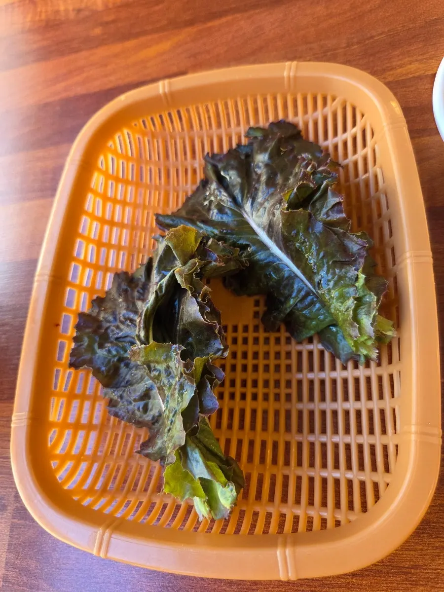 사이드 메뉴가 정리된 메뉴판 페이지