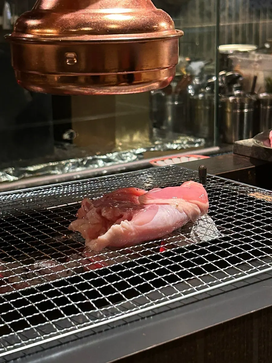 A plate of grilled chicken