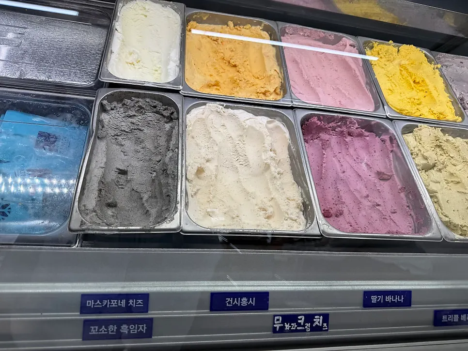 선릉역과 한티역 사이 스쿠피 매장 앞