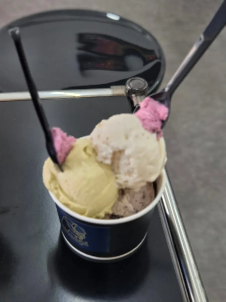 피스타치오 오레오 앤 크림 무화과 크림치즈 세 가지 맛