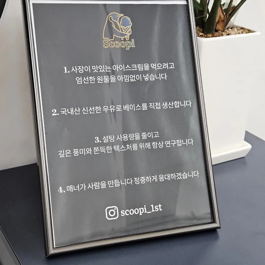 스쿠피 매장 내부 모습