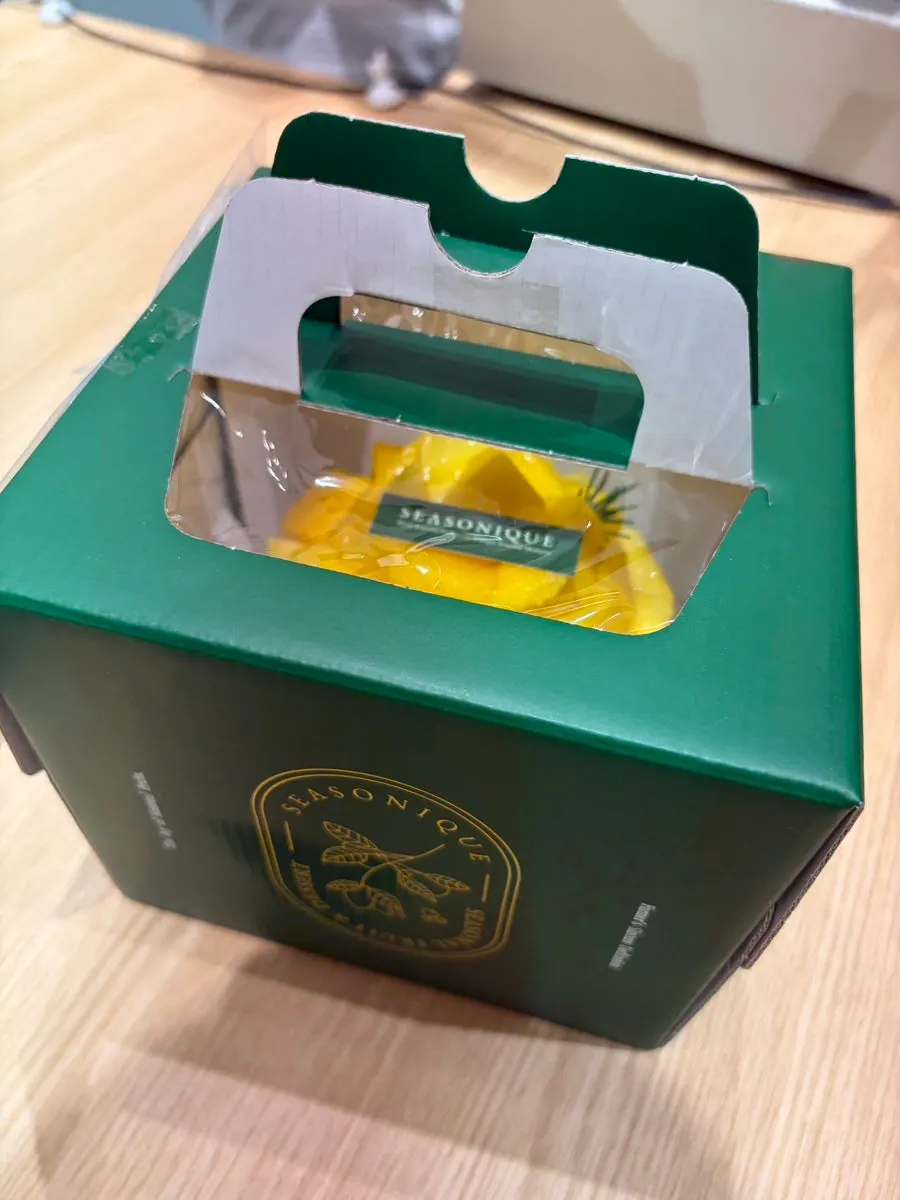 Sijeunikeu cake box packed with an ice pack
