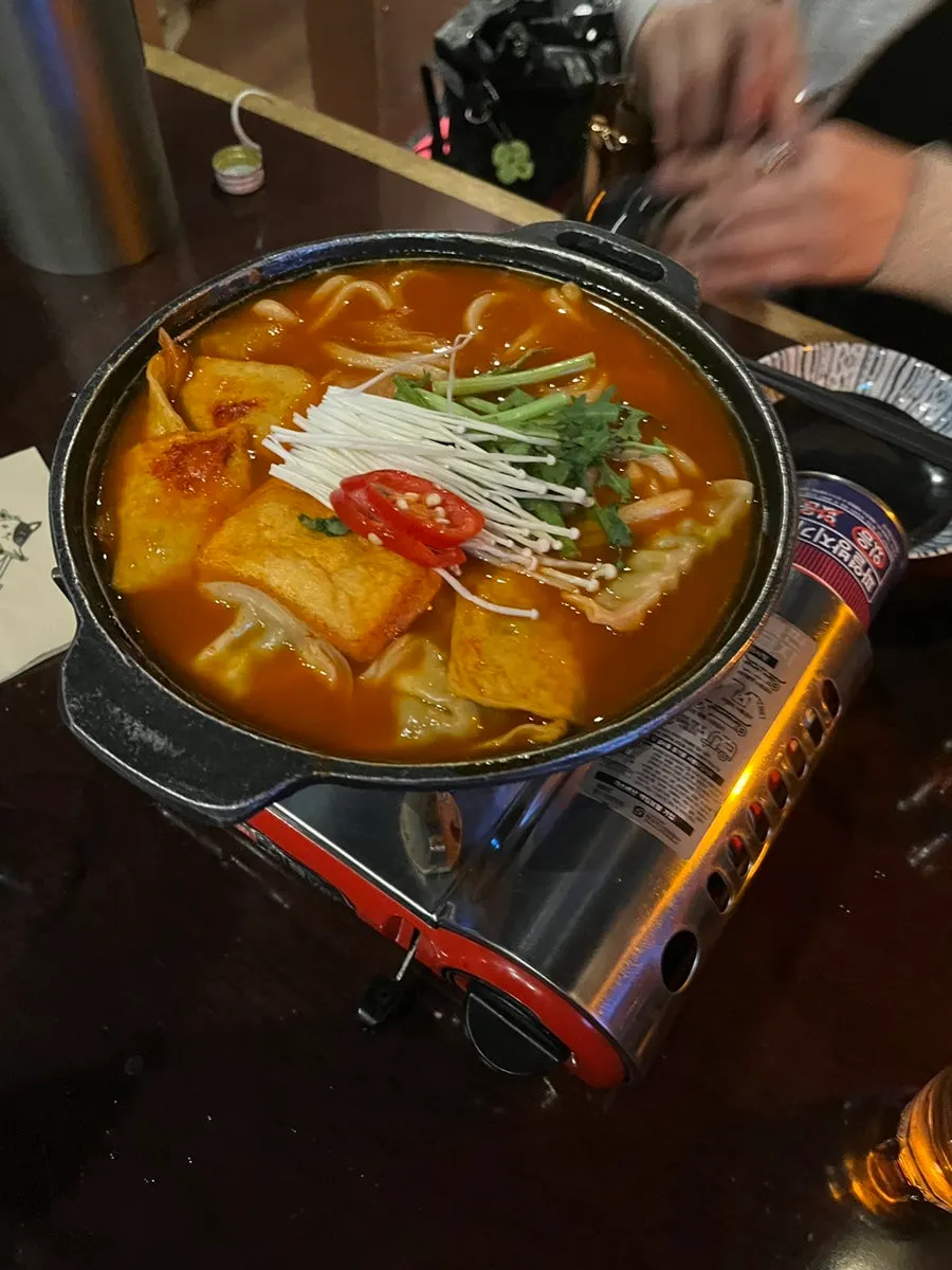 Dumplings and udon noodles soaked in spicy broth