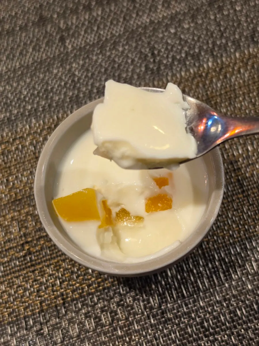 Close-up of jiggly pudding dessert