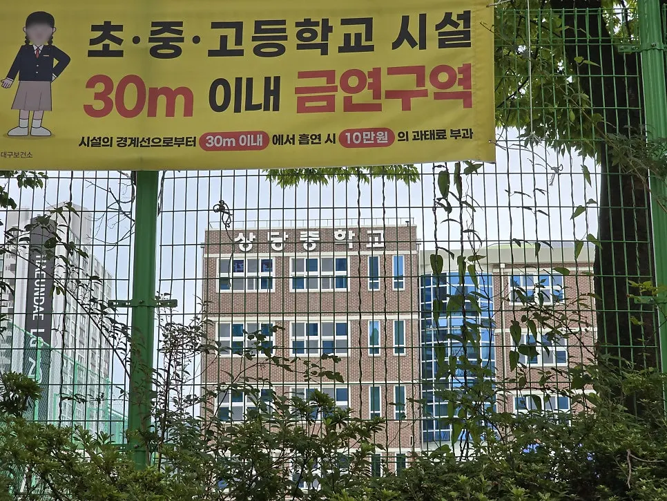안경점 쇼윈도 브랜드 표시
