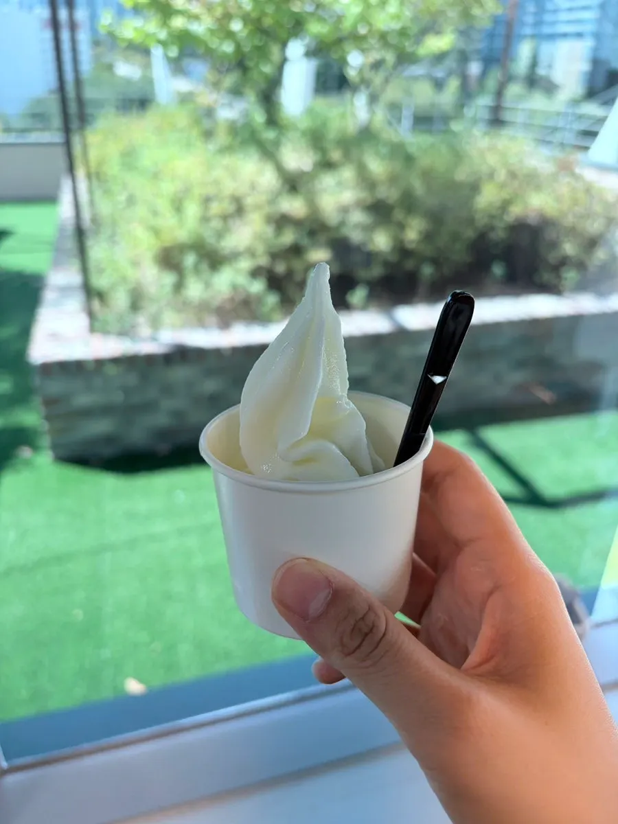 Ice cream enjoyed as dessert after the meal