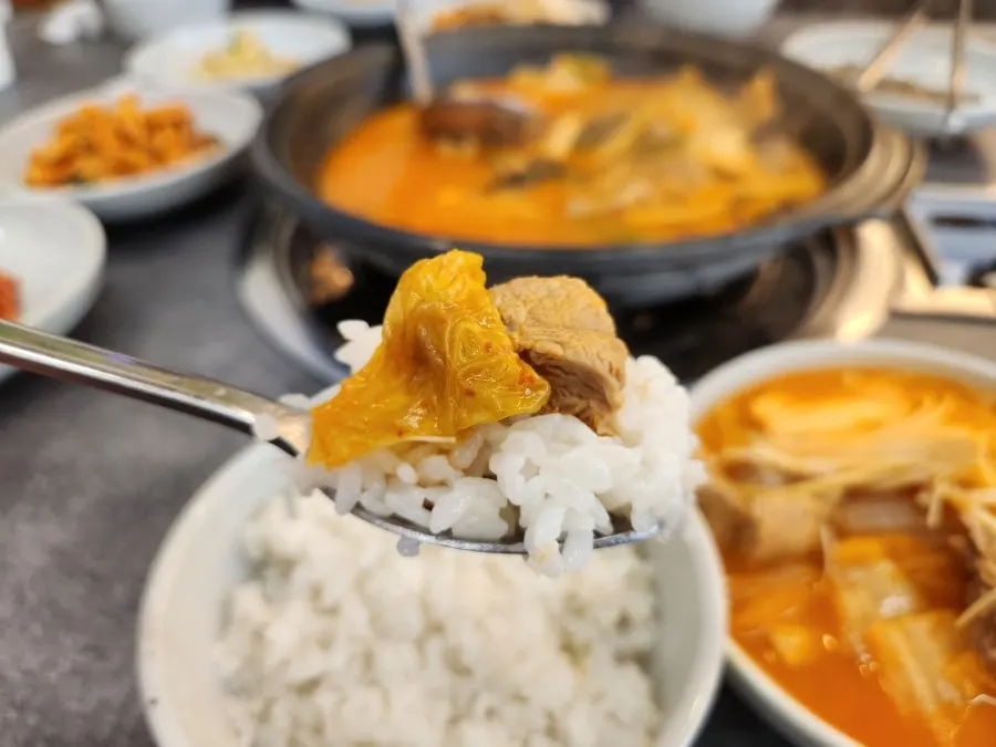 밥과 김치찌개 김치 조합