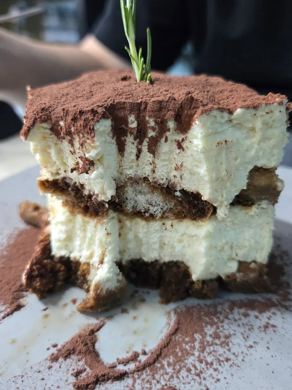 A bite of tiramisu dusted with cocoa