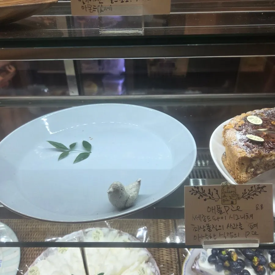 쎄종드파이 오로라파이