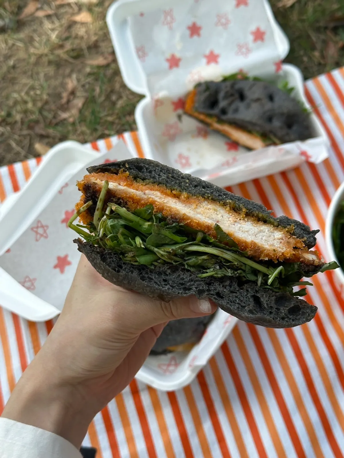 Packed sandwich set on a picnic spot at a nearby park
