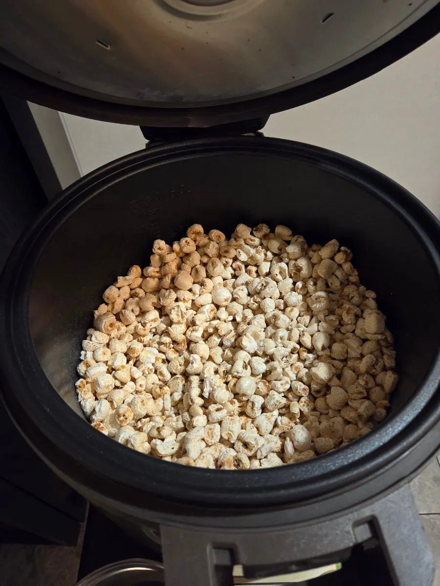 Puffed corn kernels served as a pre-meal snack