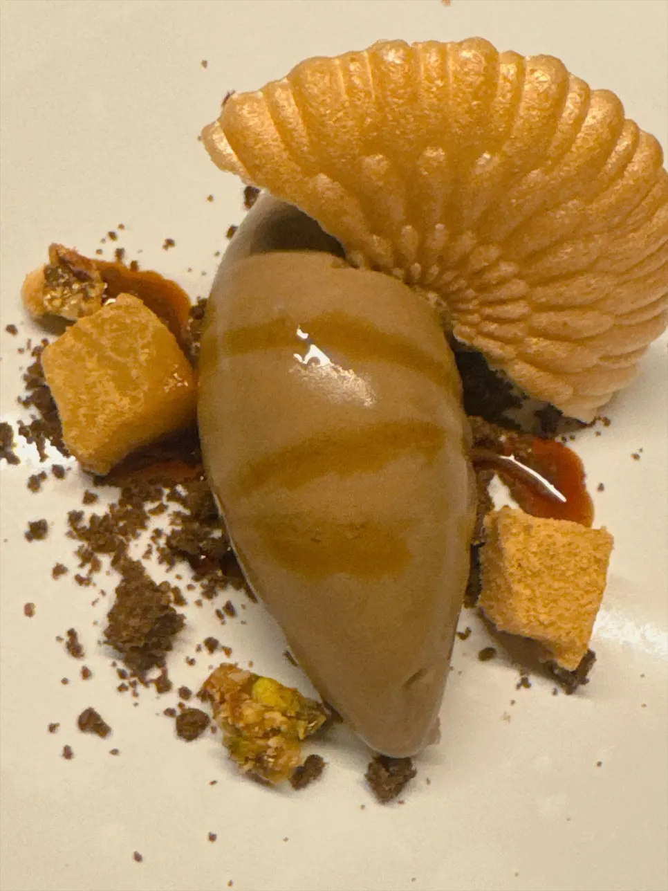 Final course dessert topped with nougatine