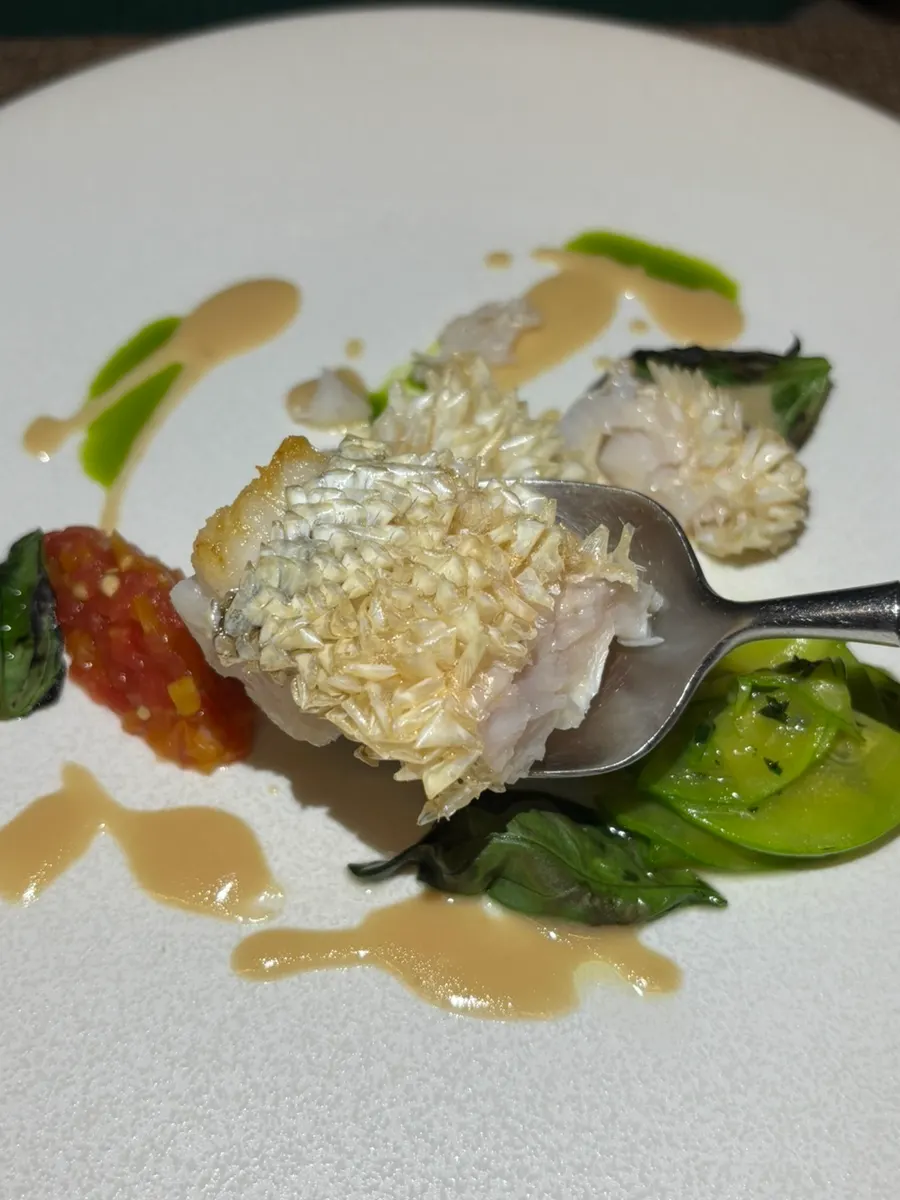 White snapper fish dish with tomato and basil