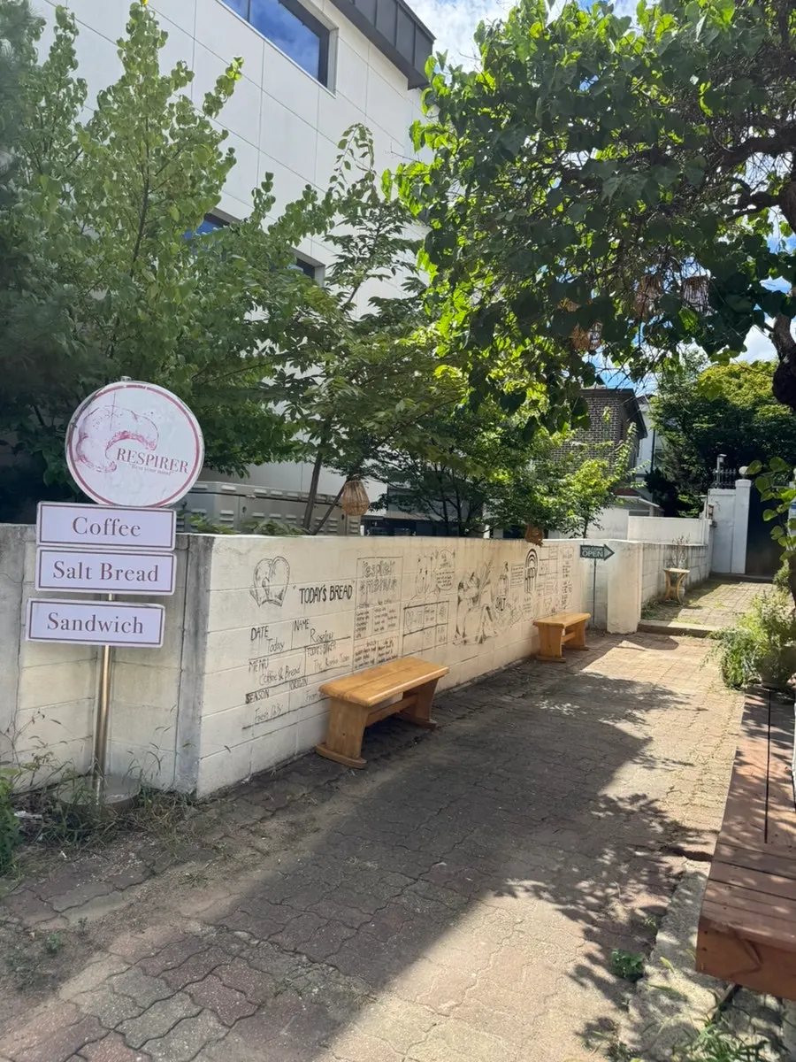 Sunny Seochon brunch café atmosphere