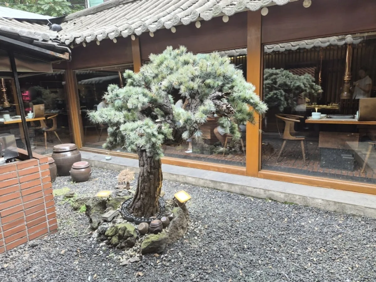 松の中庭がある韓屋の食事空間