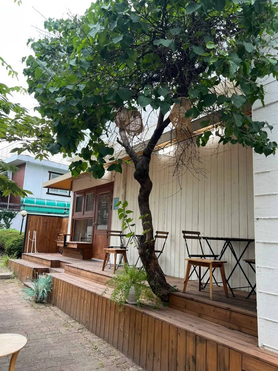 Terrace seating under a lilac tree