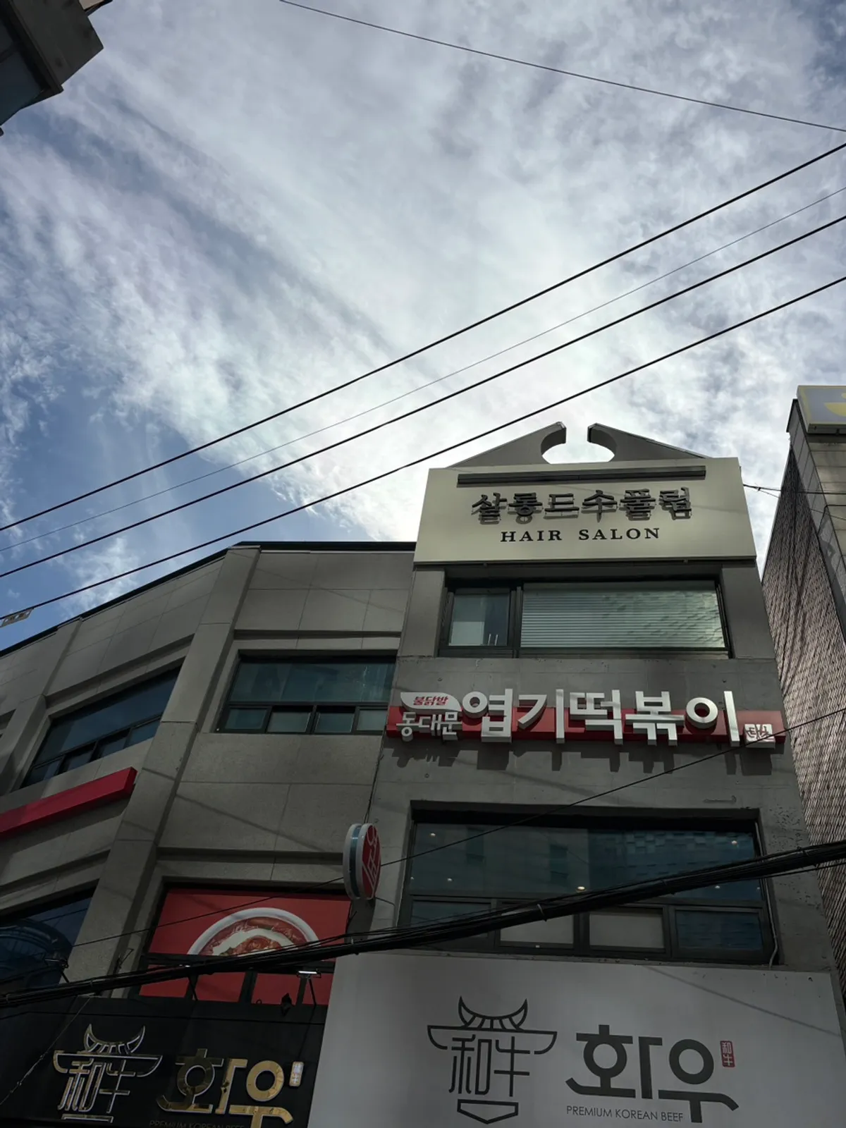 서대문역 살롱 드 수풀림 방문 사진