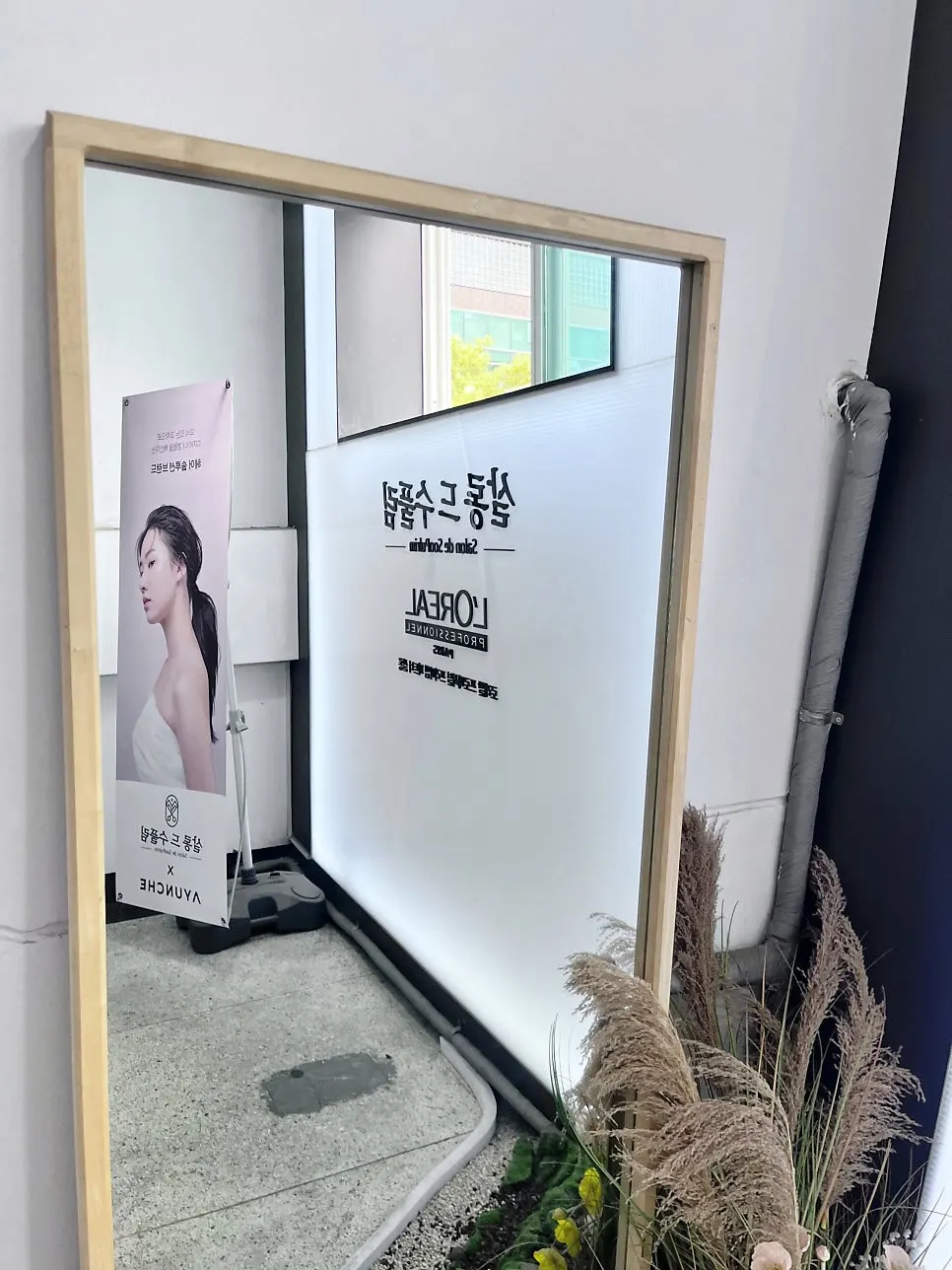 살롱드수풀림 방문 관련 사진