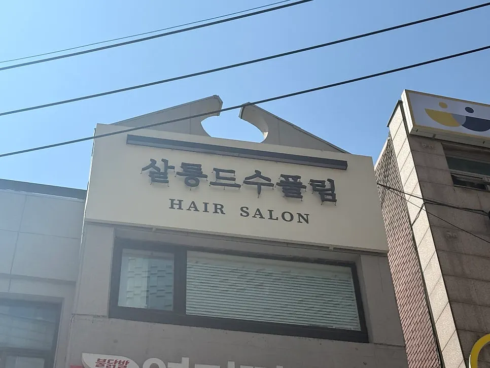 살롱 드 수풀림 방문 전후 문맥 이미지