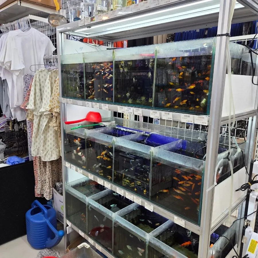 Home-goods section at On Saenghwal