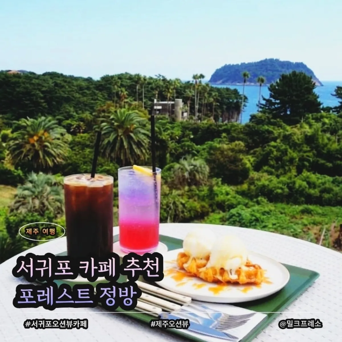 서귀포 포레스트 정방의 바다 풍경