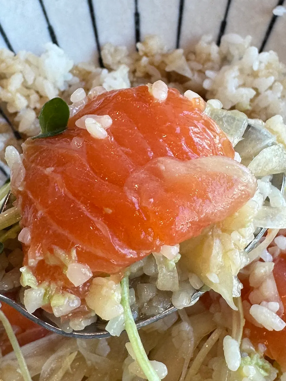 Sake-don topped with fresh raw salmon