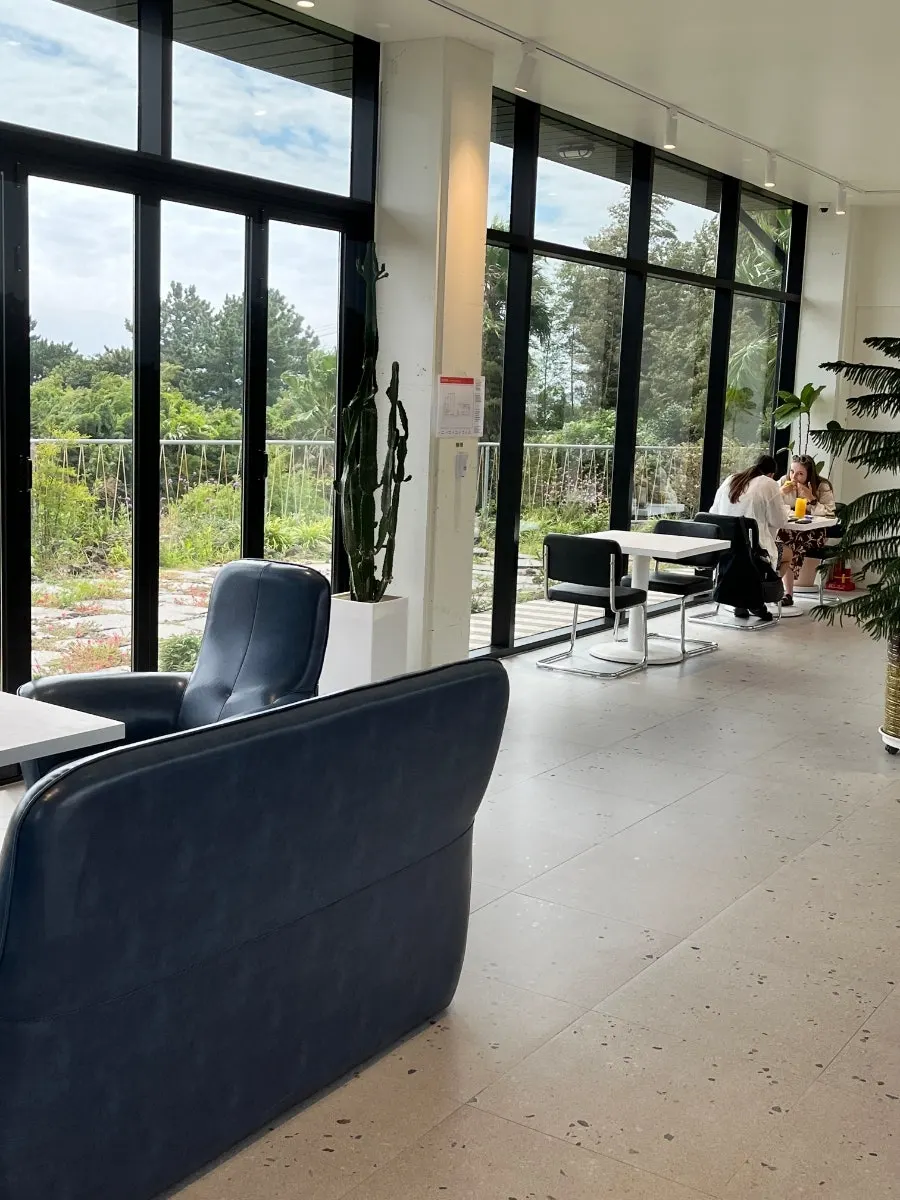 Café interior with a forest-like feel